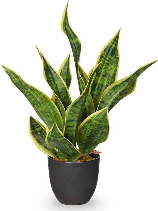 Artificial Snake Plant 11 Inch Small Potted Good Luck Plant Fake Snake Plants Faux Mother In Law Tongue Sansevieria Plant - Fake Laurentii for Indoor Outdoortall Fake Tropical Plant Home Office Decor