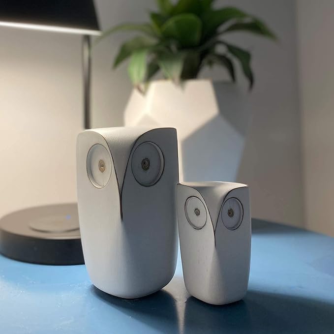 Wise Owl Decor Statue Sculptures – Set of 2 Small White Resin Figurines, 5¾ & 4 Inches High, Minimalist Decor for Home, Office, Bookshelf, or Desk