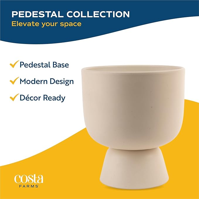 Costa Farms Golden Pothos Live Plant, Devil's Ivy in Decorative Pot, Easy to Maintain, Air Purifying Indoor Houseplant, Home, Room, or Office Decor, House Warming or Birthday Gift, 12-14 Inches Tall