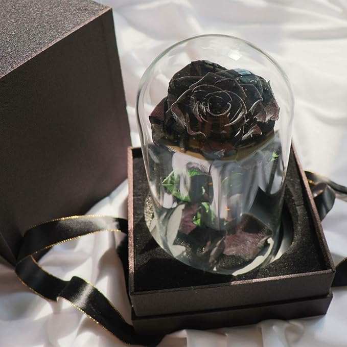 Preserved Roses Black Roses in Glass Dome, Medium, Preserved Flowers for Mothers Day, Gifts for Women
