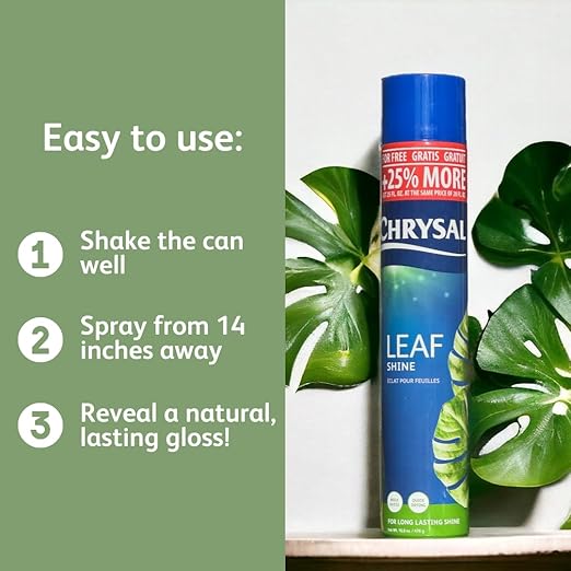 Chrysal Leaf Shine Spray for Indoor Plants (25 Ounce 1 Pack)