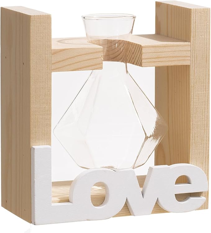 Cute Room Decor Home Decor Office Decor Desk Accessories Women Birthday Present Wife Ideas Propagation Station Vases Plant Terrarium Stuff Grandma Items Valentinesday Decorations for Her