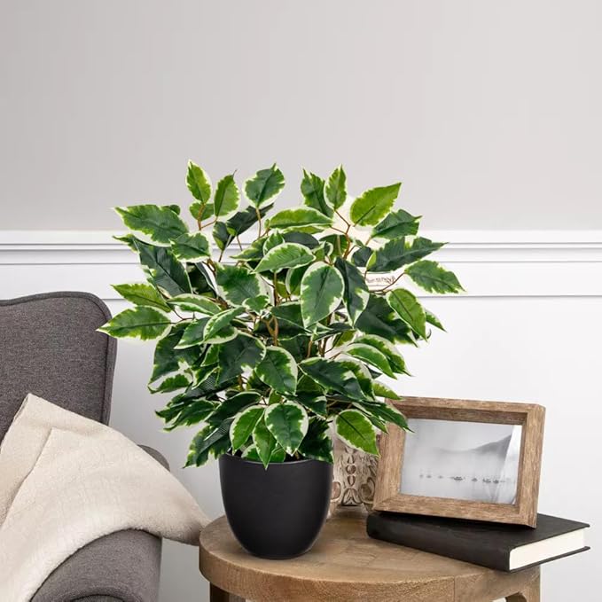 Fake Plant 15.7” Artificial Plants Indoor Small Ficus Potted Plants Silk Plants Faux Topiary Plant for Home Bathroom Bedroom Dining Room Kitchen Window Shelf Desk Centerpieces Tabletop Decor