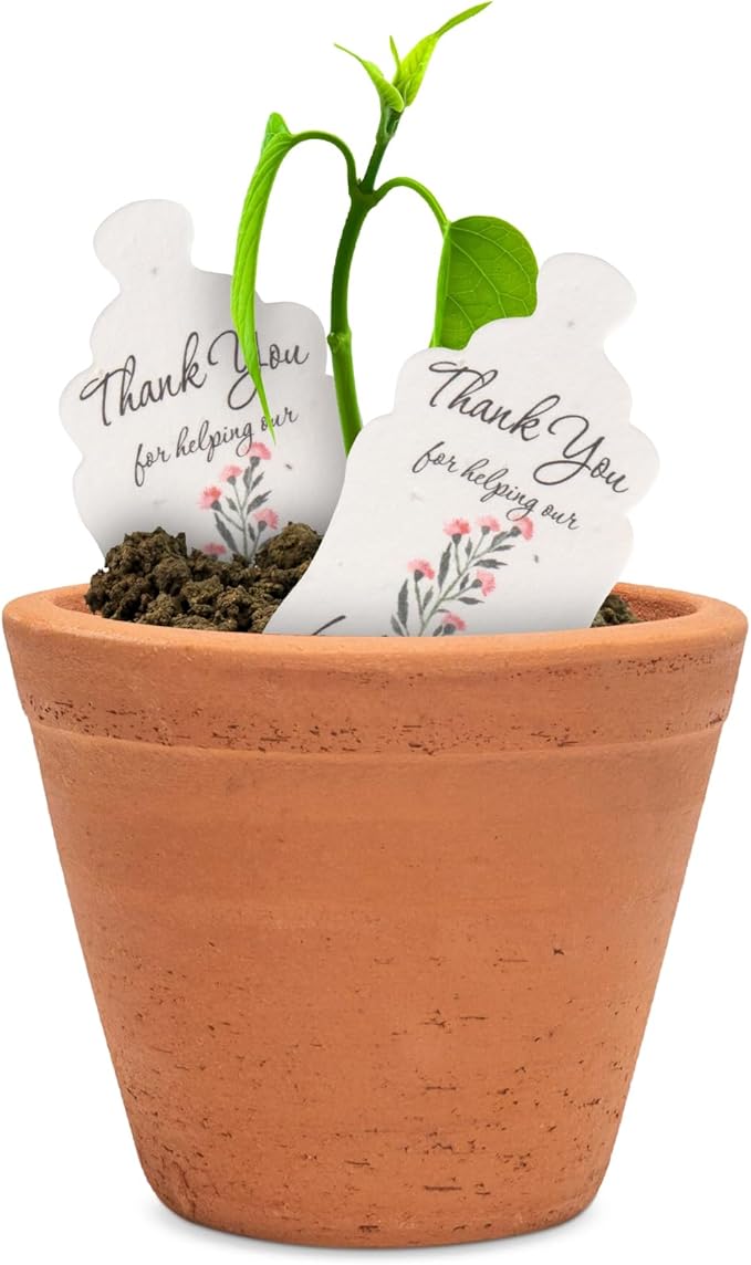 Plantable Bottle Shaped Seed Paper – 15 Pink Baby Shower Favors for Guests with Wildflower Seeds, Baby Shower Gifts for Guest