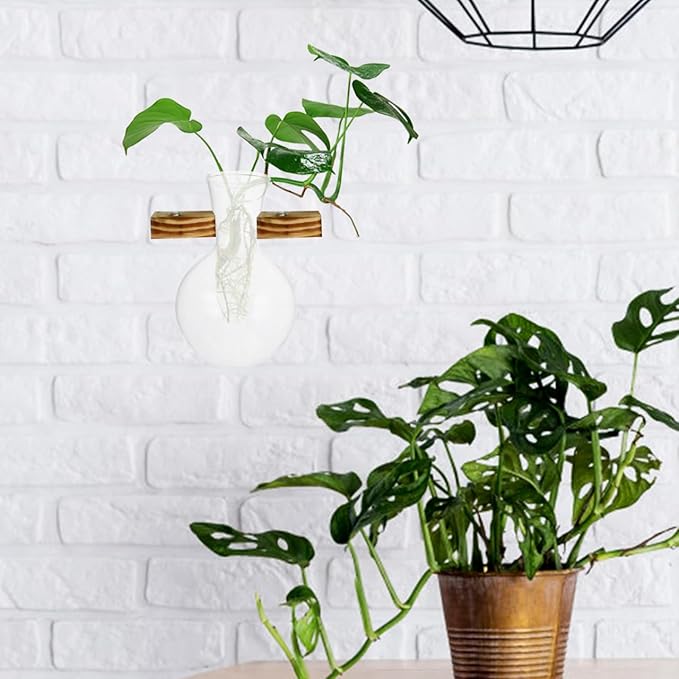 VOSAREA 3pcs Plant Propagation Station Vase Glass Plant Terrarium Hydroponic Vase Air Planter Bulb Succulent Pot Micro Landscape Vessel Desktop Decoration