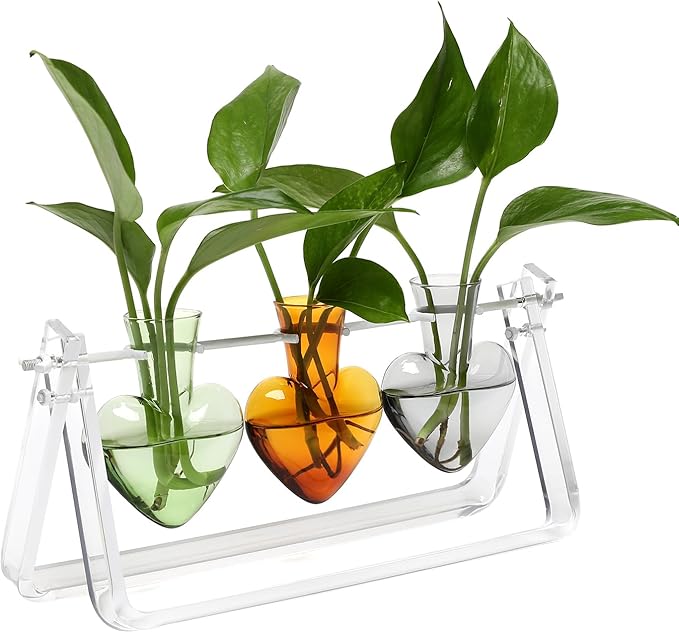 Clear Plant Terrarium Propagation Stations with Acrylic Stand Birthday Gifts for Women Office Home Decor