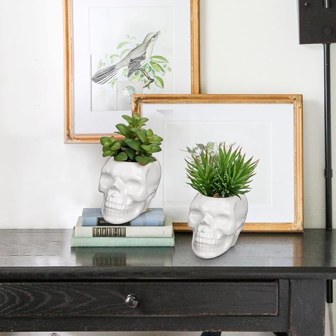 Small Fake Succulents Plants Artificial Succulents in Pots Set of 2 Mini Succulent Plant Realistic Faux Plants Skull Artificial Succulent Plants for Home Office Table Bedroom Bathroom Shelf Decor