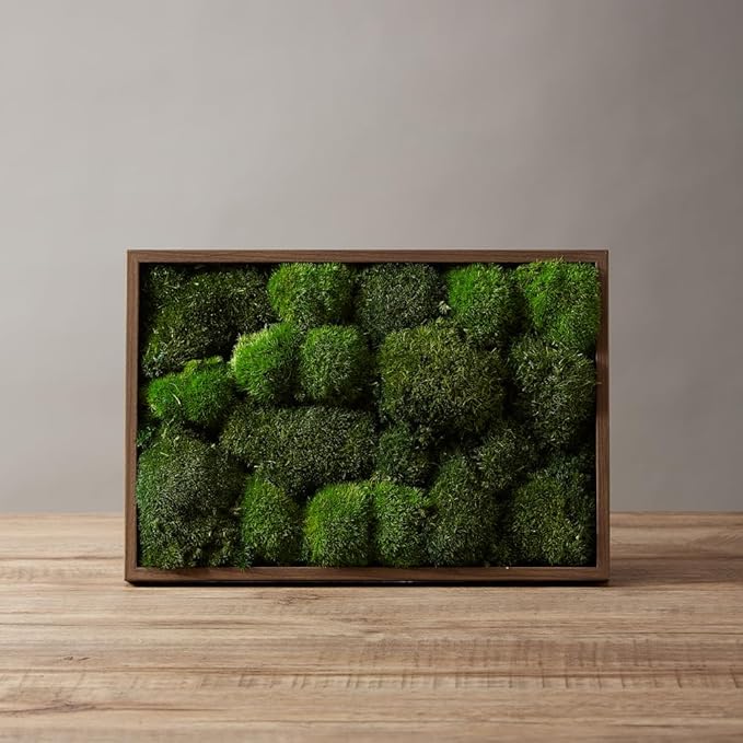 2 Color Mix Pack Preserved Pole Moss Pillow Bun Cushion Natural Decorative Green DIY Kit Art Wall Decor Florist Decor Easter Table Decor Wedding(1.5 sq.ft, Green-A,Green-B)