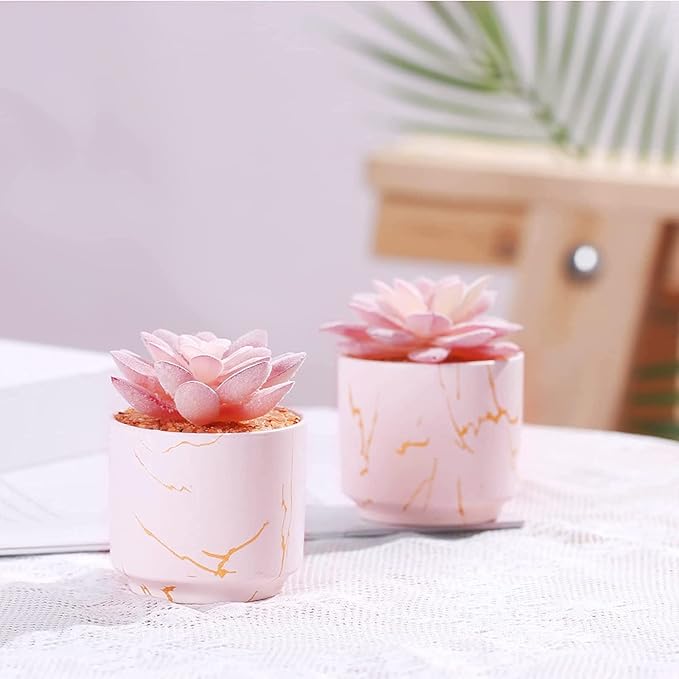 Succulent Artificial Plants,Cute Fake Succulents in 2 Pink Ceramic Pots,Small Fake Plants for Office,Table,Desk,Bathroom, Bedroom,Aesthetic Room Shelves Decor,Desk Decorations for Women Office