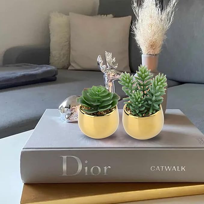 Briful Small Artificial Succulents in Pots Set of 3 Realistic Faux Succulents Plants with Gold Ceramic Pots Cute Mini Fake Plants Decor for Modern Home Table Office Desk Bathroom Shelf Decoration