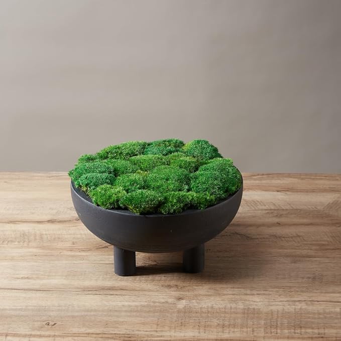 Preserved Pole Moss Pillow Bun Cushion Natural Green Decorative Real Natural DIY Kit Gardenning Art Wall Decor Florist Easter Table Decor Wedding(1.5 sq.ft, Green-C)