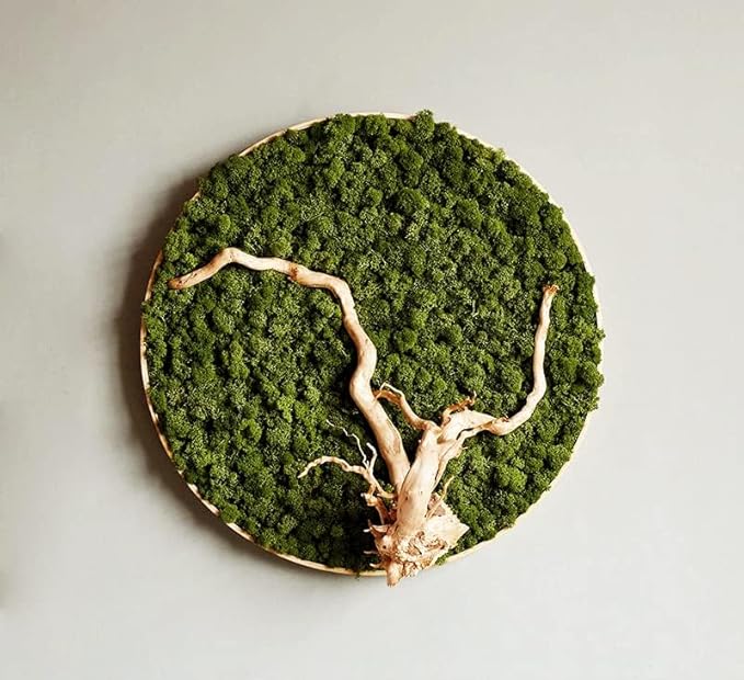 Preserved Reindeer Moss Natural Green DIY Kit Gardenning Art Wall Decor Florist Decor Easter Table Decor Wedding