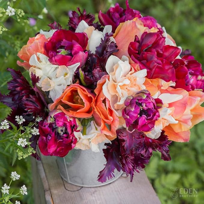 Eden Brothers Tulip & Daffodil Spring Cottage Collection