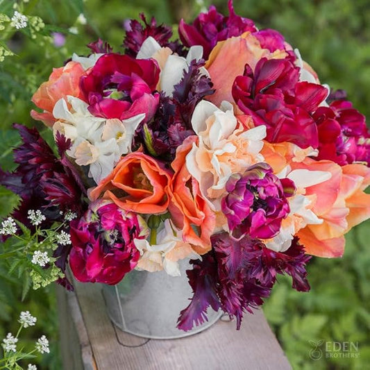 Eden Brothers Tulip & Daffodil Spring Cottage Collection