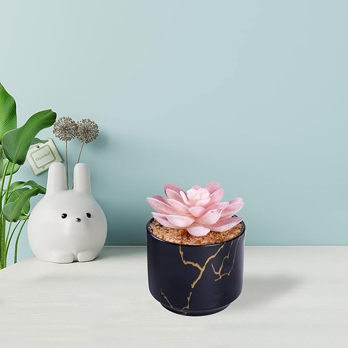 Succulent Artificial Plants,Cute Fake Succulents in 1 Black Ceramic Pots,Small Fake Plants for Office,Table,Desk,Bathroom, Bedroom,Aesthetic Room Shelves Decor,Desk Decorations for Women Office
