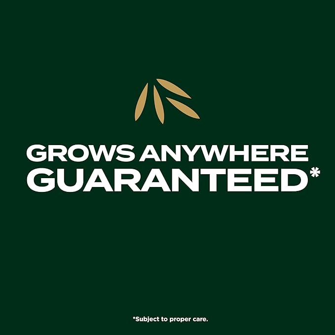 Scotts EZ Seed Patch & Repair Southern Gold Blend for Tall Fescue Lawns, Mulch, Grass Seed and Fertilizer for Bare Spots and Repair, Bred for The South, 10 lbs.