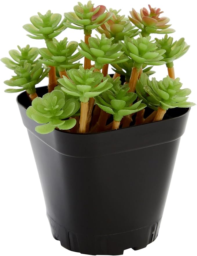 Juvale Nursery Pots - 2 in, Black, 150 Count, Modern Square Stackable - Seed Starter & Seedling Planter - Plastic Plant Pots with Drainage Holes - Indoor Planter