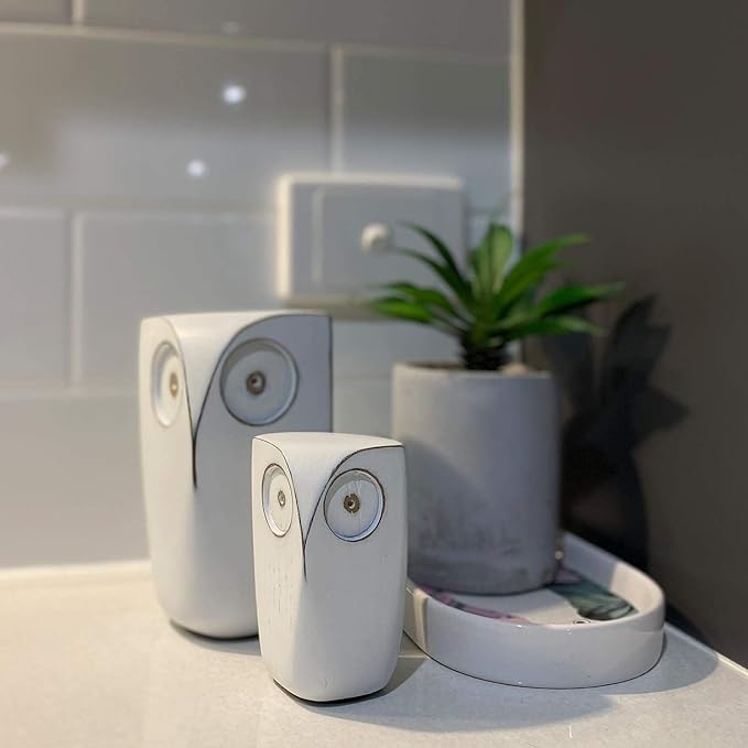 Wise Owl Decor Statue Sculptures – Set of 2 Small White Resin Figurines, 5¾ & 4 Inches High, Minimalist Decor for Home, Office, Bookshelf, or Desk