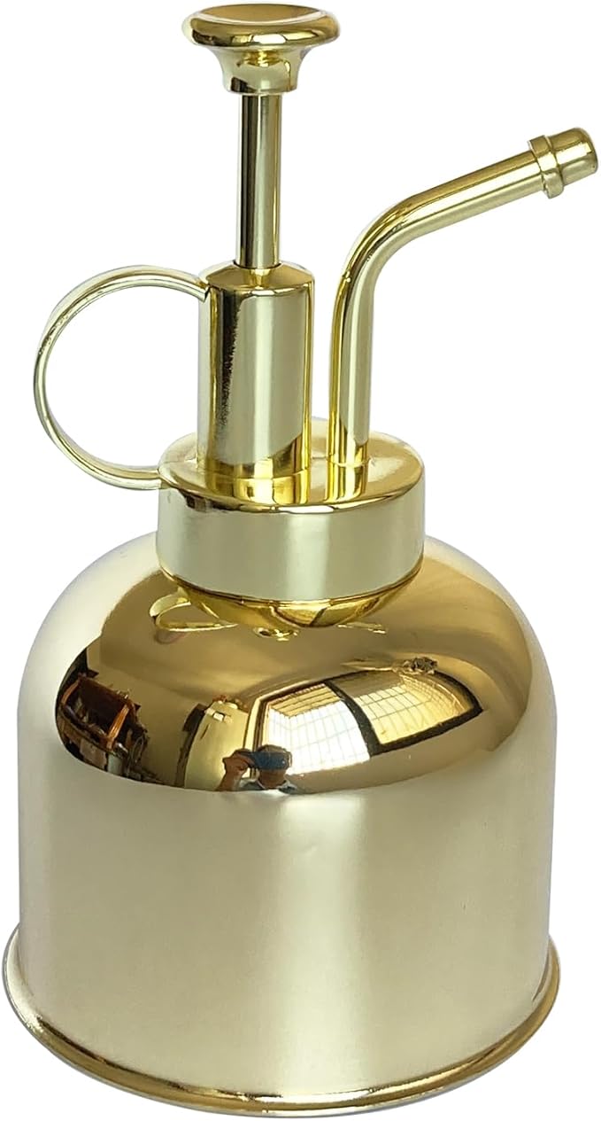 Stainless Steel Plant Sprayer, Small Watering Can Modern Gardening Tool for Indoor Potted Plants Watering and Spraying