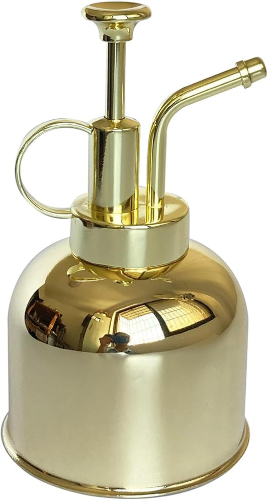 Stainless Steel Plant Sprayer, Small Watering Can Modern Gardening Tool for Indoor Potted Plants Watering and Spraying