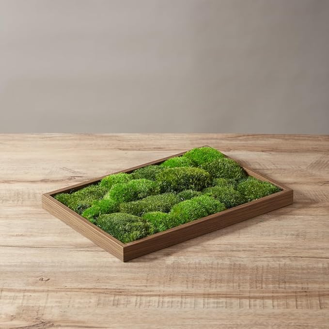 2 Color Mix Pack Preserved Pole Moss Pillow Bun Cushion Natural Decorative Green DIY Kit Art Wall Decor Florist Decor Easter Table Decor Wedding(1.5 sq.ft, Green-A,Green-B)