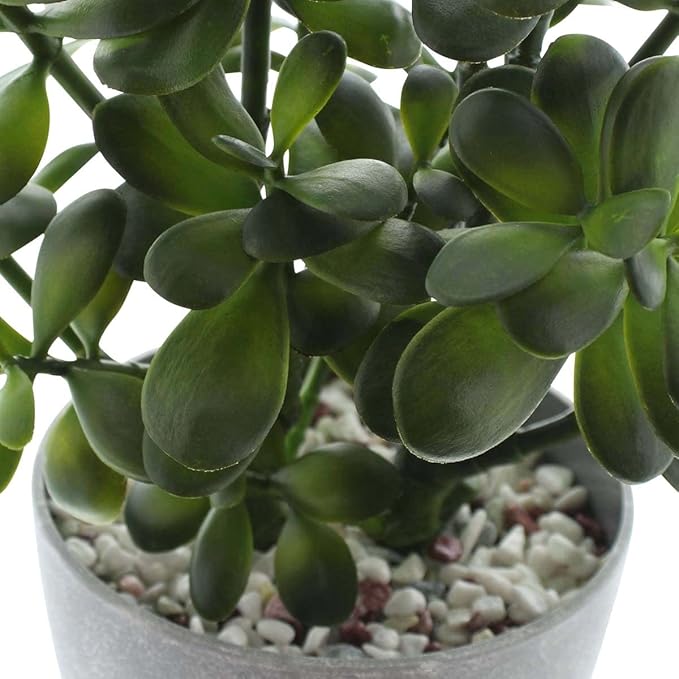 Westcharm 16 in. Potted Faux Jade Plant Home Décor | Artificial Crassula Ovata Succulent Money Tree in Melamine Pot | Fake Greenery for Office, Home, Kitchen, Bathroom, Bookshelf