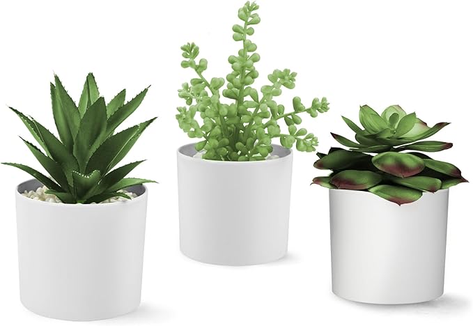 Hopewood Succulent Plants Artificial in White Pots Small Faux Potted Succulents Fake Plants in Vase Set of 3