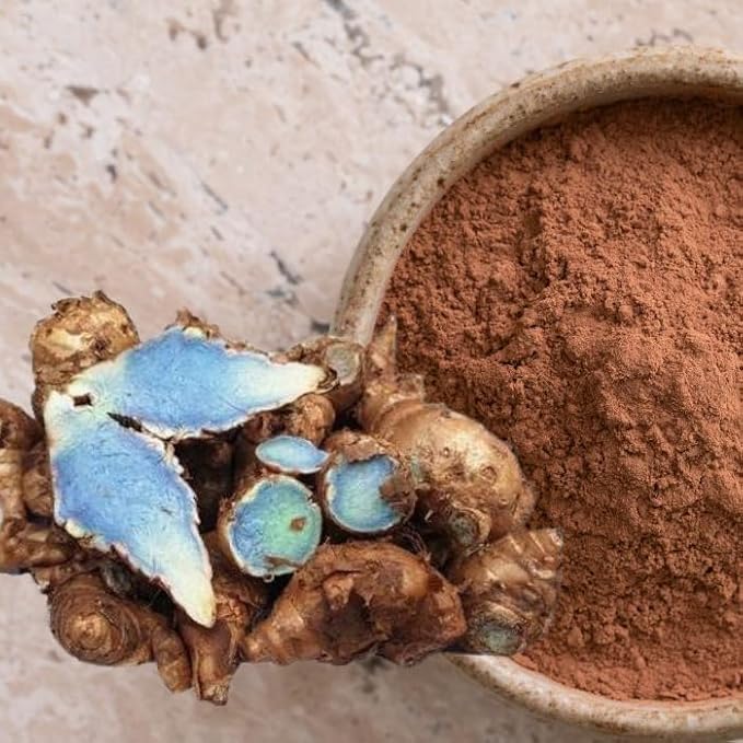 Premium Live Black Turmeric (Curcuma caesia) Plants - Rare Herbal Medicinal Plant, Perfect for Home Gardens (4 Black Turmeric Bags)