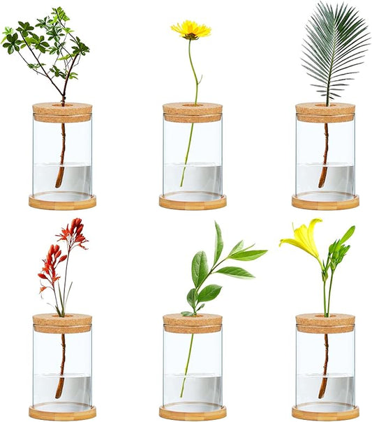 6 Pcs Plant Propagation Terrarium Glass Propagation Vase Containers with Cork and Wooden Saucer for Hydroponic Plants Tabletop Decoration Jars for Plants (2.56 x 4 Inch)