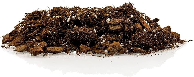 Alocasia Plant Potting Soil - Enhance Leaf Beauty and Health with Professional Grade Nutrient-Rich Mix - 3 Quart