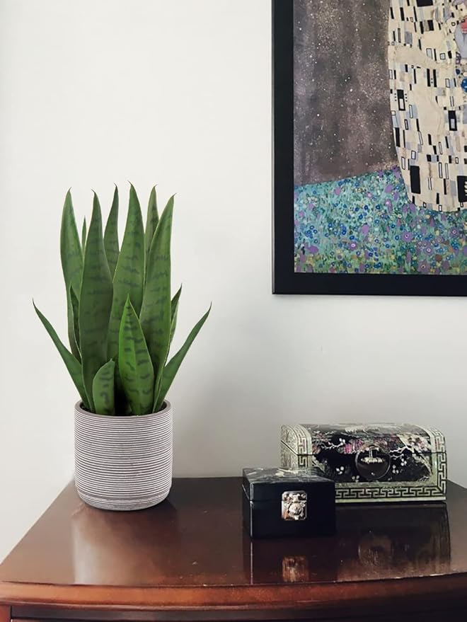 Briful Fake Snake Plant 16" Faux Potted Plant Artificial Snake Plant with Cement Pot Sansevieria Plant Perfect for House Modern Living Room Office Housewarming Gift Indoor Decor