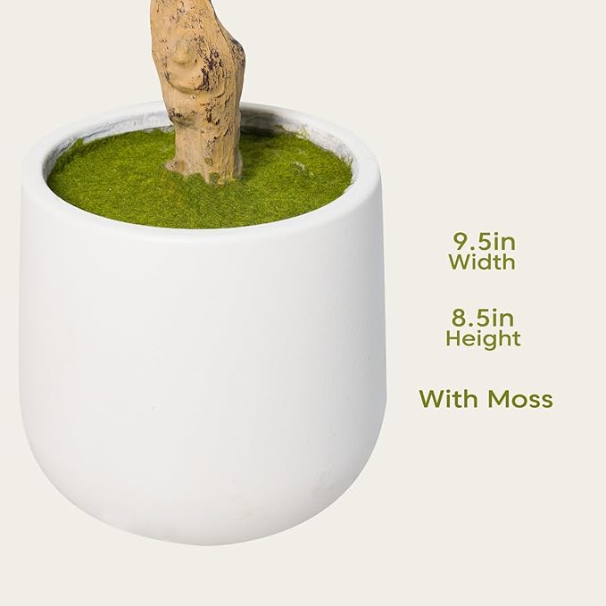 Phimos Artificial Olive Tree with Planter Pot Large Faux Olive Branches and Fruits Artificial Tree for Modern Home Office Living Room Floor Decor Indoor (5FT)