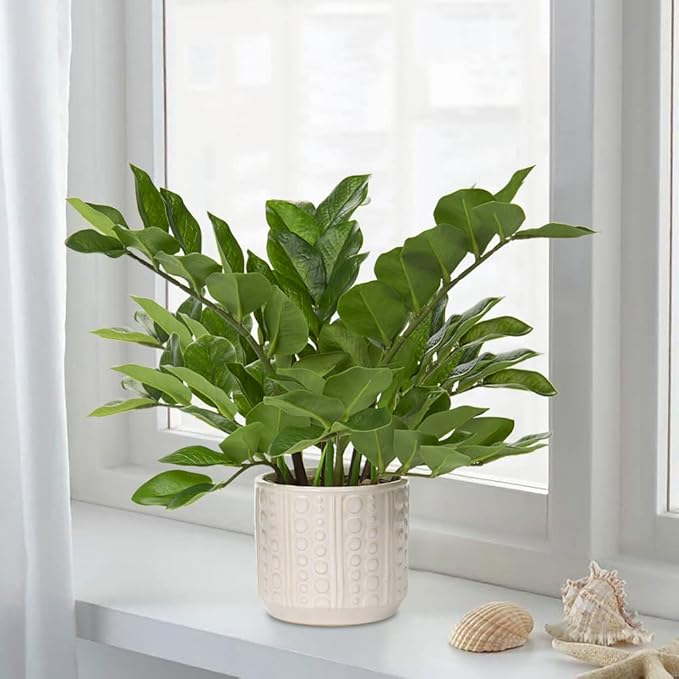 Briful Faux Plants Indoor 17" Artificial ZZ Plants in Ceramic Pot Fake Potted Zamioculcas Silk Plants for Home Table Decor Bedroom Aesthetic (1Pack)