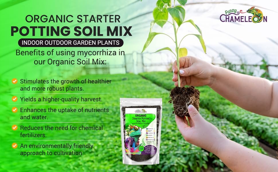 Organic Seed Starter Soil – Seed Starting Mix with Mycorrhizal Fungi – Natural Root Stimulator – Potting Soil for Vegetables and Herbs (1 Quart)