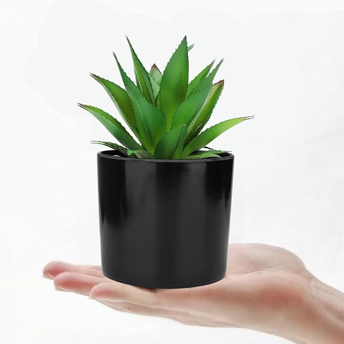 Hopewood Artificial Succulents Faux Potted Plant Decor, Small Fake Plants in Black Pot, Realistic and Lifelike for Book Shelf, Desk Decor, Home Office, Kitchen, or Bathroom Decor - Pack of 3