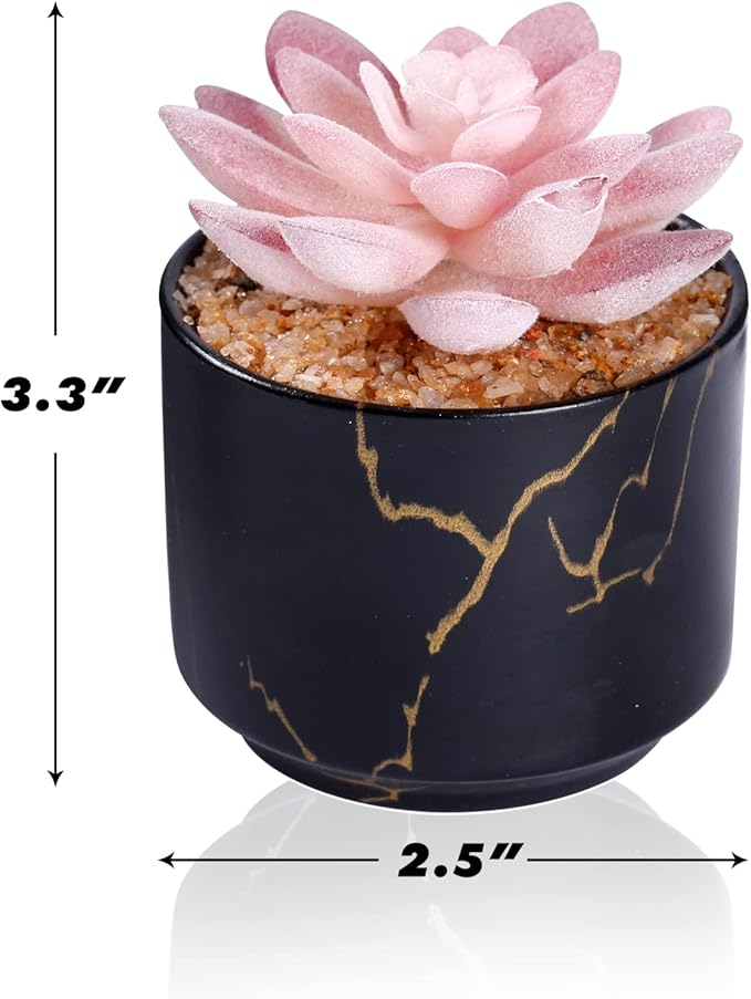 Succulent Artificial Plants,Cute Fake Succulents in 1 Black Ceramic Pots,Small Fake Plants for Office,Table,Desk,Bathroom, Bedroom,Aesthetic Room Shelves Decor,Desk Decorations for Women Office