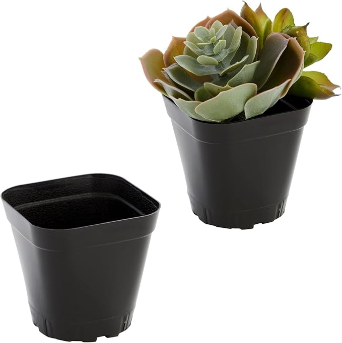 Juvale Nursery Pots - 2 in, Black, 150 Count, Modern Square Stackable - Seed Starter & Seedling Planter - Plastic Plant Pots with Drainage Holes - Indoor Planter