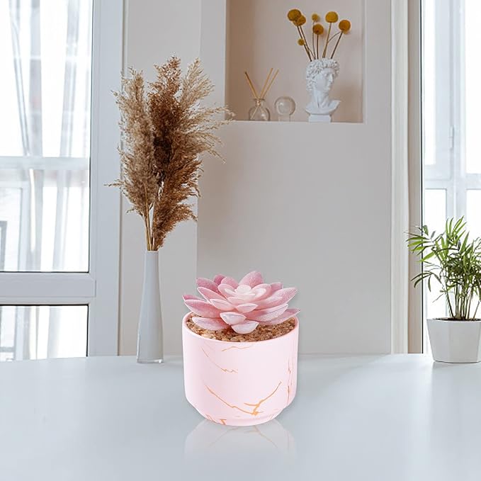 Succulent Artificial Plants,Cute Fake Succulents in 1 Pink Ceramic Pots,Small Fake Plants for Office,Table,Desk,Bathroom, Bedroom,Aesthetic Room Shelves Decor,Desk Decorations for Women Office