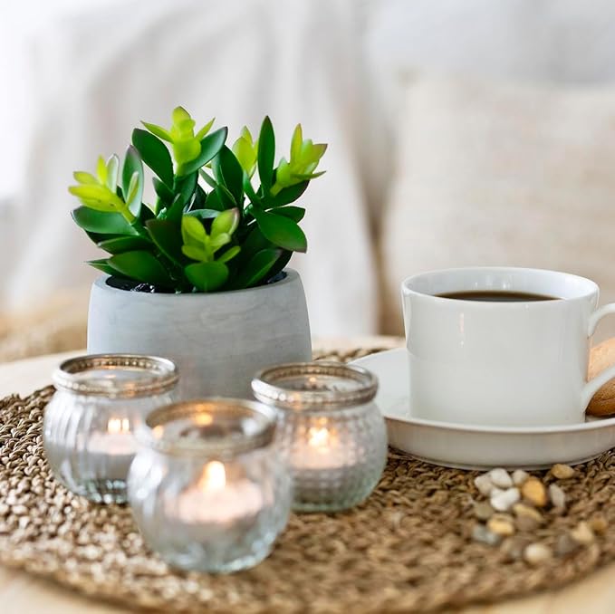 Kurrajong Farmhouse Artificial Plant | 7" Fake Plant | Artificial Succulent in Pot | Faux Plant Indoor | Succulent Plant Artificial for Desk Decor