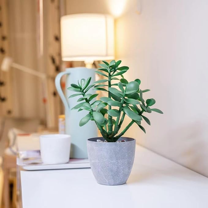 365 Blooming Decor Artificial Jade Plant 12 inch in Gray Pot for Home, Office Decor, Money Tree, Crassula ovata (Gray Pot, 12 inch)