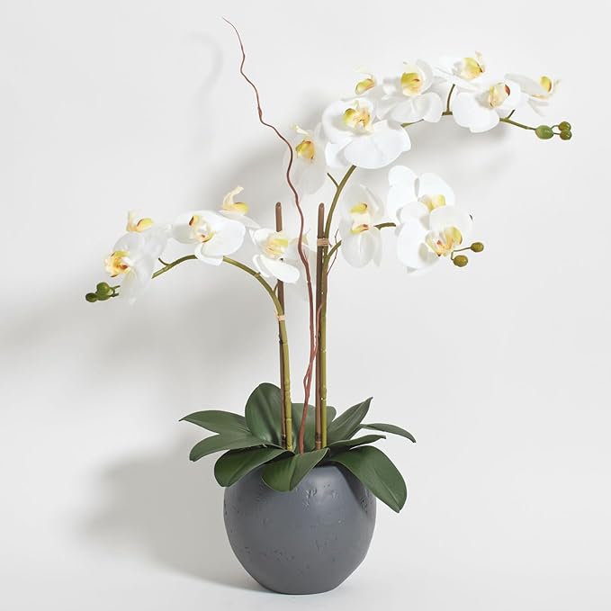 CG Hunter Faux White Orchid Plant, Premium Artificial Indoor Flower Display Stands 25-Inches with Beautiful Sculptural Blooms and Foliage That Lasts Forever, Grey Planter Pot Included