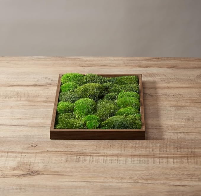 2 Color Mix Pack Preserved Pole Moss Pillow Bun Cushion Natural Decorative Green DIY Kit Art Wall Decor Florist Decor Easter Table Decor Wedding(1.5 sq.ft, Green-A,Green-B)