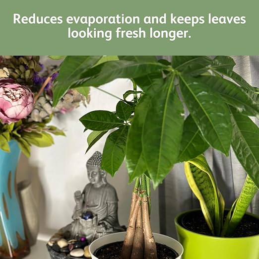 Chrysal Leaf Shine Spray for Indoor Plants (25 Ounce 1 Pack)