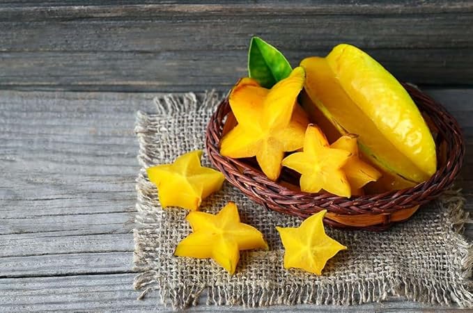 Premium Carambola Potting Soil Mix - Perfect Balance of Nutrients, Drainage, and Aeration for Thriving Starfruit Trees - 2 Quart