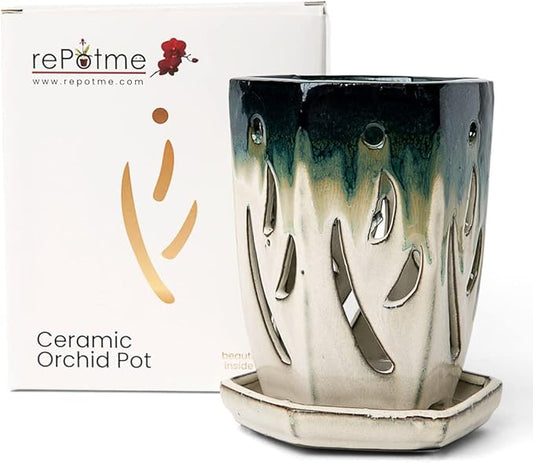 rePotme 4 x 6 inch Ceramic Orchid Pot (Evergreen Emerald Over Cream) - Hexagon Orchid Pot with Holes