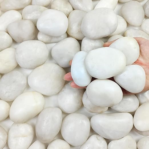 10 lbs Large River Rocks for Landscaping, 2-3 inch Polished White Pebbles for Plants, Decorative White Stones for Planters Vase Aquarium and Outdoor Garden Rocks