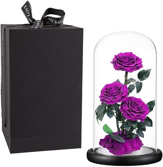 Purple Roses Handmade Rose in Glass Dome, Preserved Flowers Never Withered, Birthday Gifts for Women (13 inch)