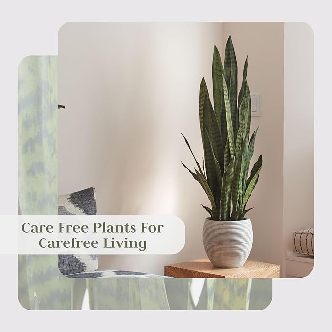 Faux Snake Plant, Premium Artificial Indoor Plant Stands 40” Tall and Enhances Interior Design, Lifelike-Leaves Create Realistic Natural Appearance, Grey Planter Pot Included
