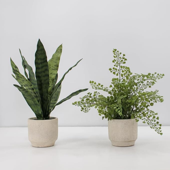 Faux Snake Plant & Fern, Set-of-2 Premium Artificial Indoor Plants, Enhances Interior Design, Lifelike-Leaves Create Realistic Natural Appearance, Grey Planter Pot Included