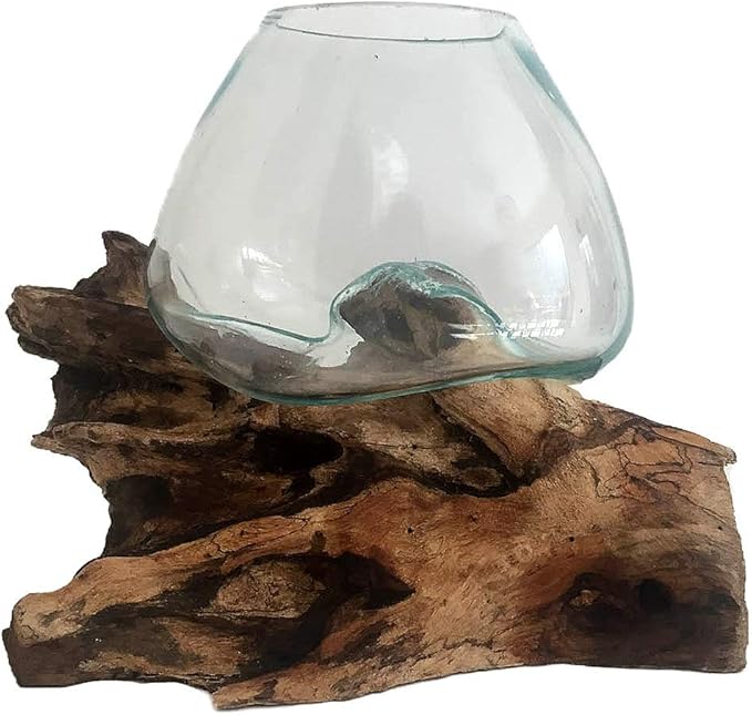 OMA Molten Glass on Driftwood – Hand Blown Vase, Terrarium, or Planter Centerpiece for Coastal & Boho Home Décor (7" – 9" High)